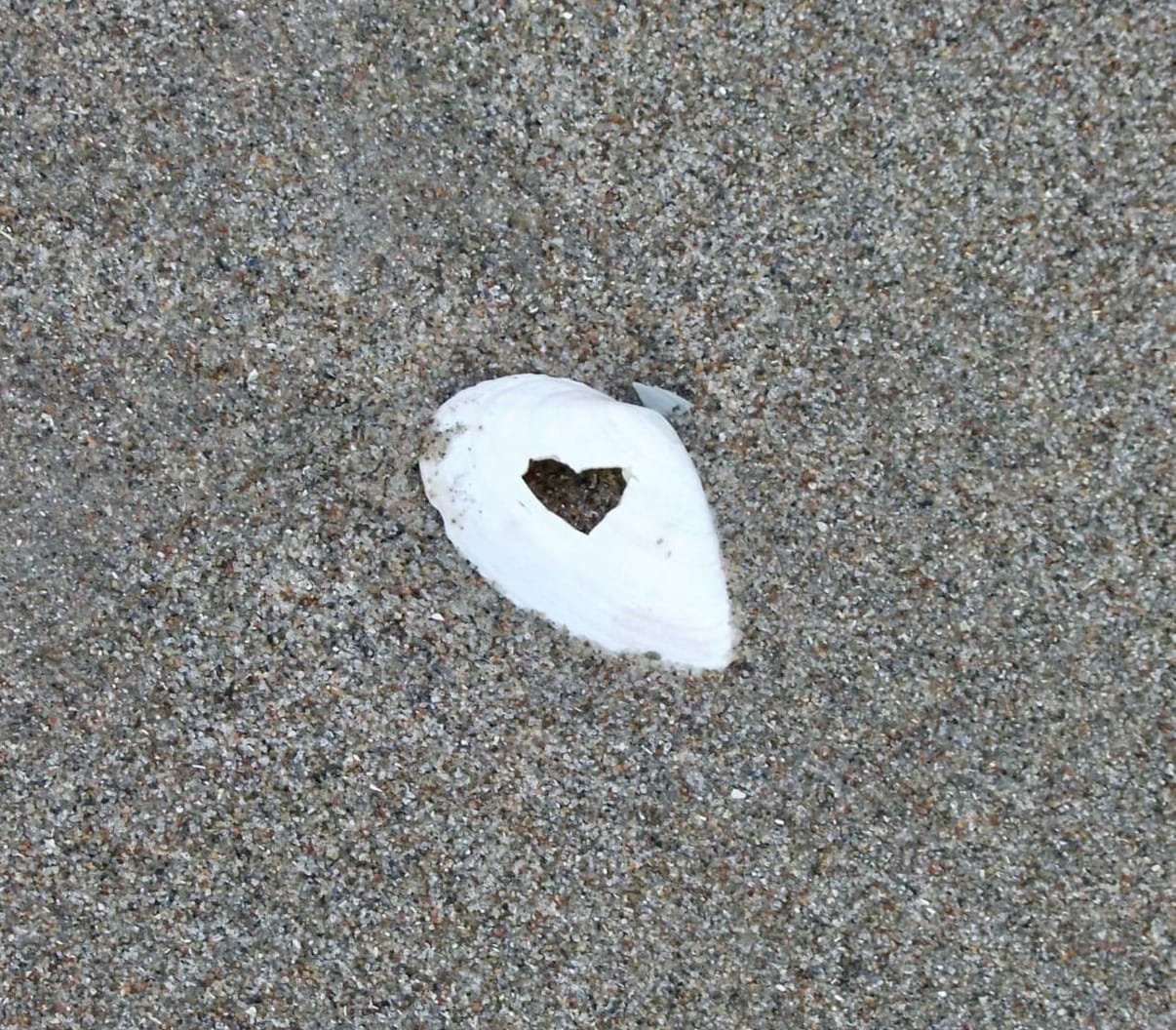 Rituale & Glücksbringer