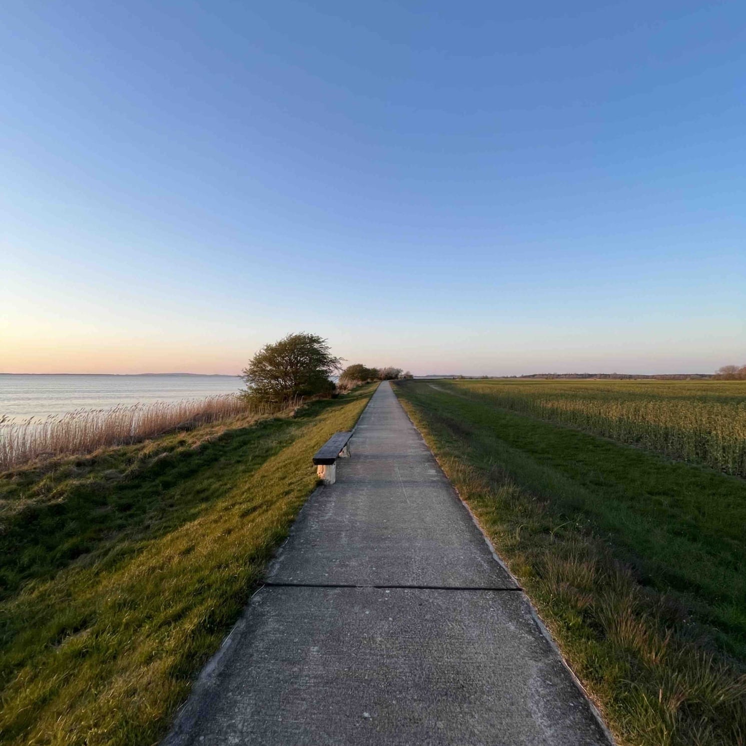 Coaching-Angebot: Mental Walk