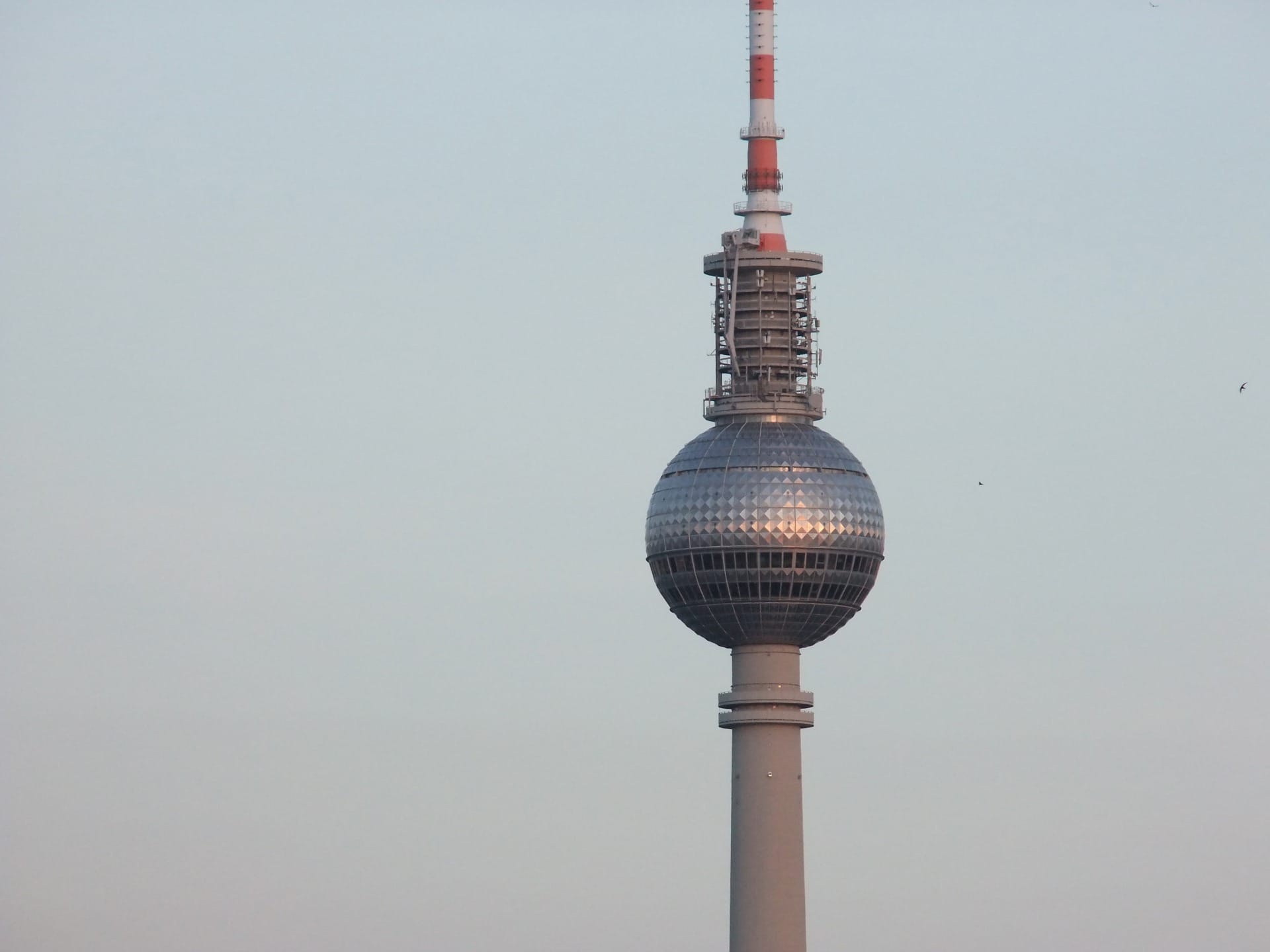 DSCF8178
