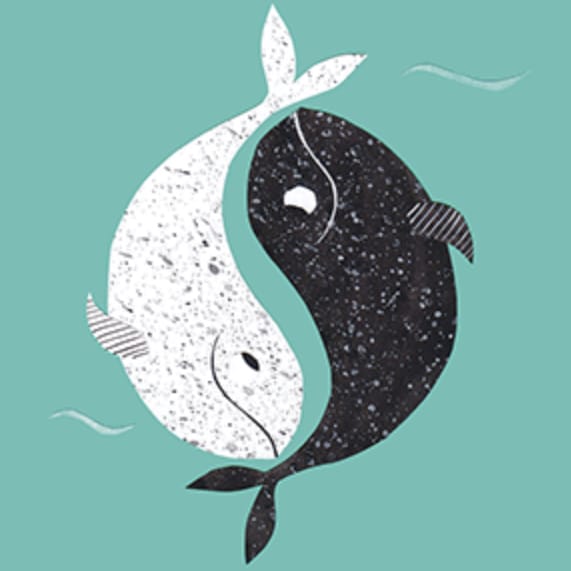 Yin Yang