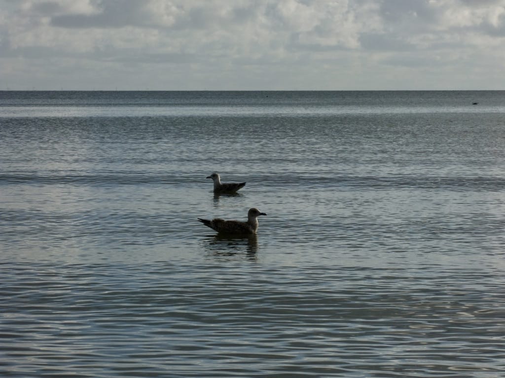 Meditieren Meditieren