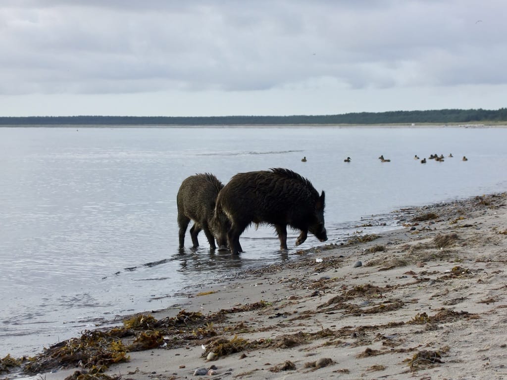 93B38BCD-8FF2-446E-9746-311A32D947EC_1_105_c