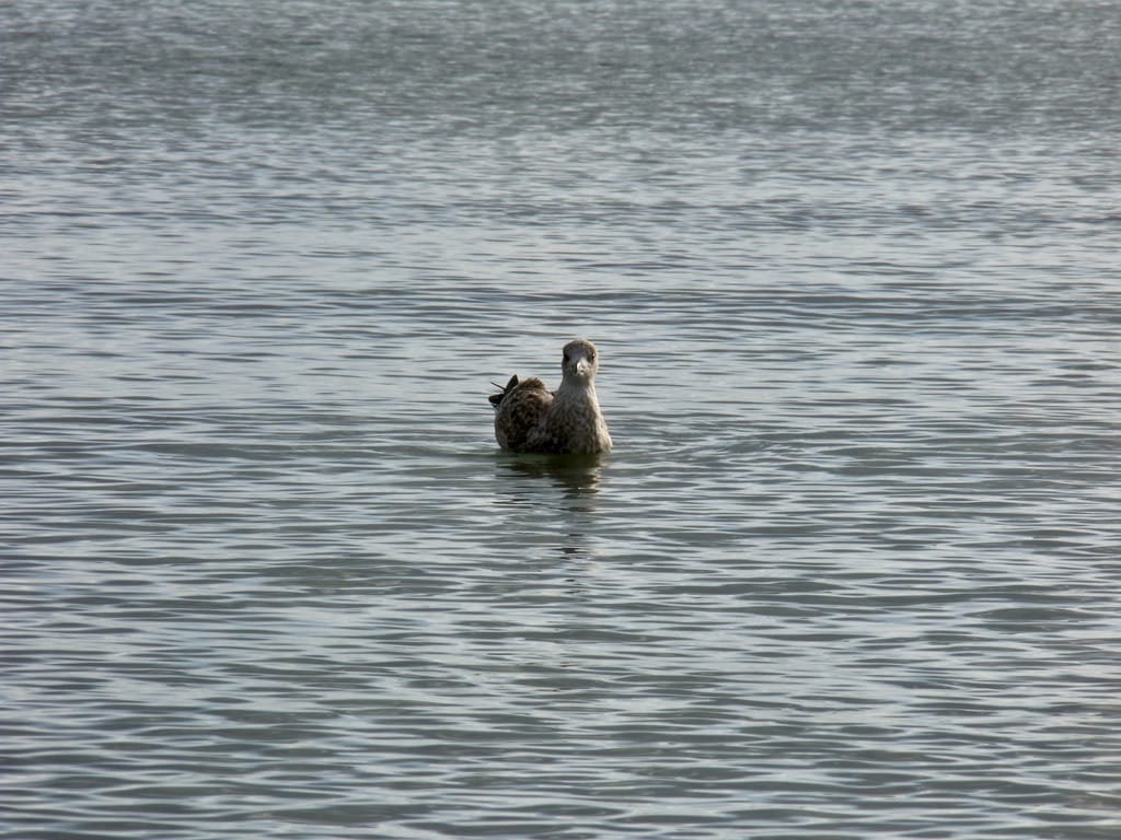 F0840965-2225-4D9C-BB51-761558D46CFB_1_105_c